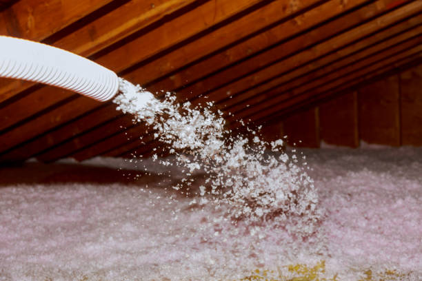 Best Insulation Removal  in Sarasota Springs, FL