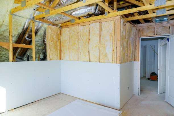 Best Insulation Replacement Services  in Sarasota Springs, FL