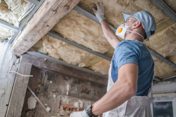 Best Wall Insulation Contractor  in Sarasota Springs, FL