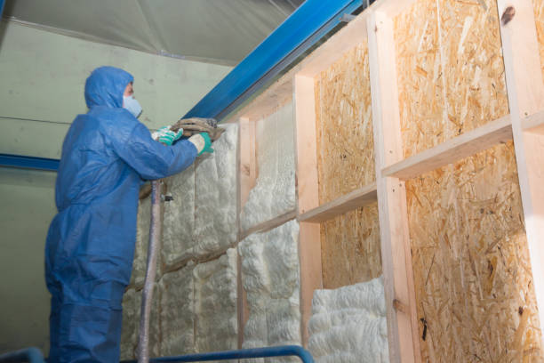 Best Home Insulation Services  in Sarasota Springs, FL